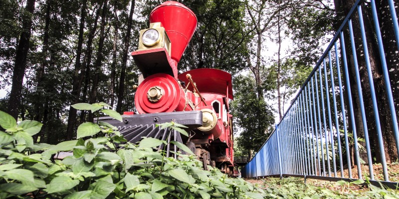 Férias serão sem o Mutirama e data de reabertura é adiada 2 ca9fbdfefc9a2f4691076001812a6ffc