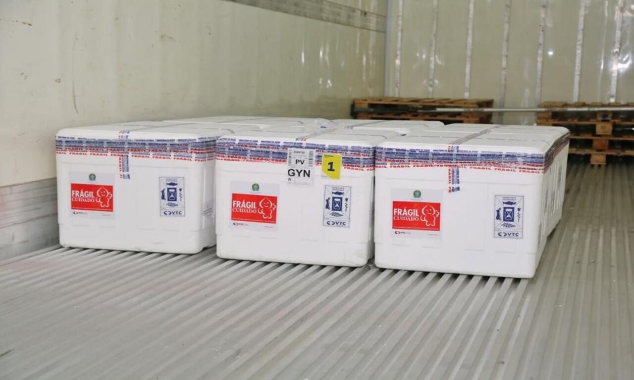 Carregamento é composto por 241,8 mil doses da CoronaVac e 25 mil da AstraZeneca | Foto: Reprodução