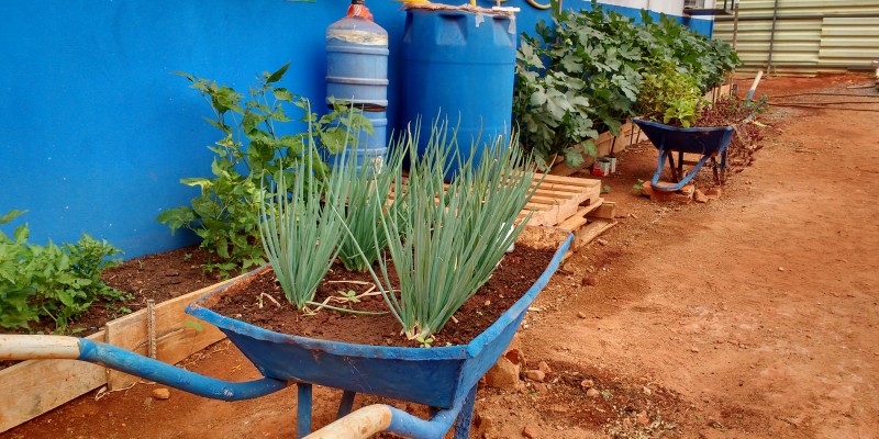 O projeto das hortas nas obras ultiliza materias reaproveitados da própria construção