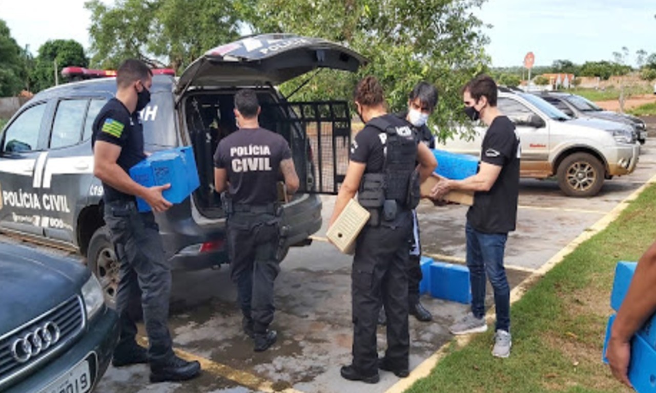 Operação Geminus cumpre, neste momento, oito mandatos de busca e apreensão em empresas e residências | Foto: ilustração