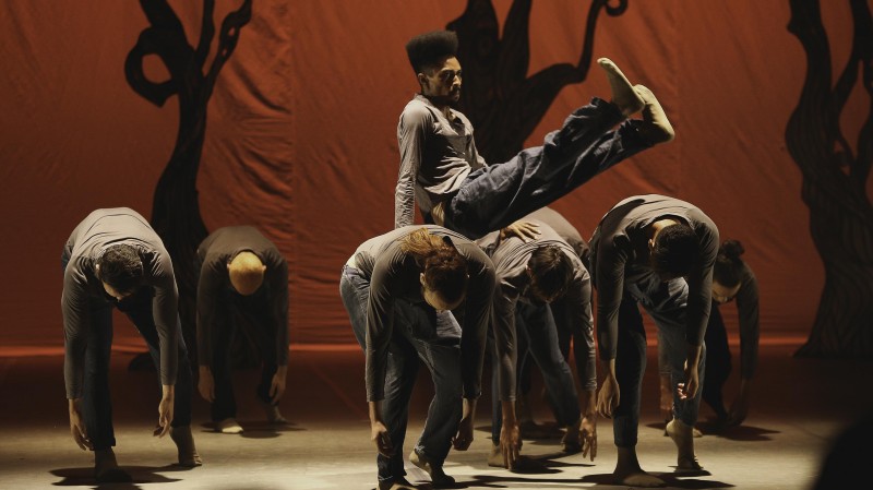 Grupo Fohat Companhia de Dança (Foto: Divulgação/Oswaldo Neto)