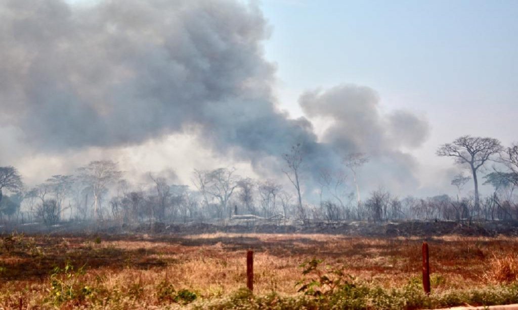 Imagem Ilustrando a Notícia: Região Sudoeste de Goiás tem aumento de 69% nas queimadas em julho