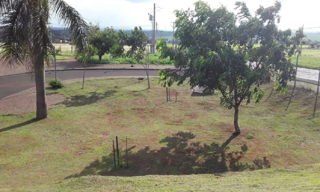 Imagem Ilustrando a Notícia: Reeducandos realizam serviços de jardinagem na UEG de Santa Helena de Goiás