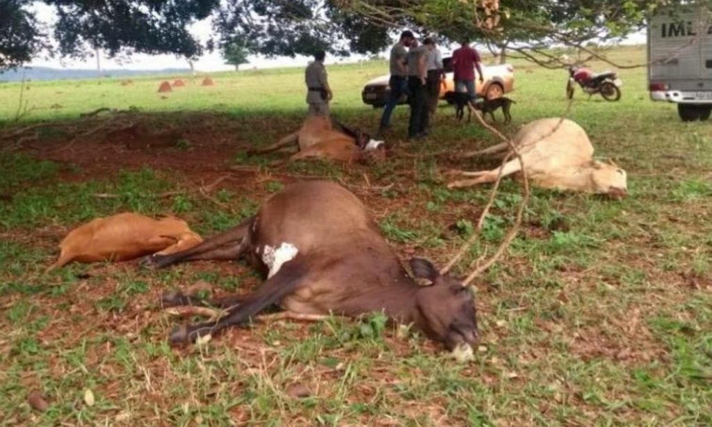 Imagem Ilustrando a Notícia: Fazendeiro e animais morrem atingidos por raio, em Quirinópolis