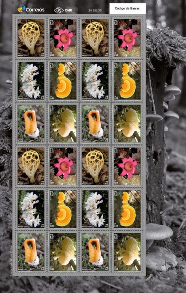 Imagem Ilustrando a Notícia: Dia Mundial do Meio Ambiente: Correios lançam selos com o tema fungos
