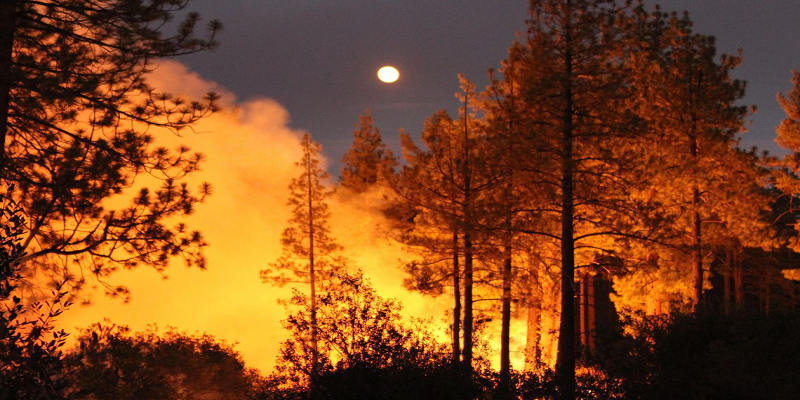 Imagem Ilustrando a Notícia: Bombeiros não conseguem controlar incêndio na Califórnia