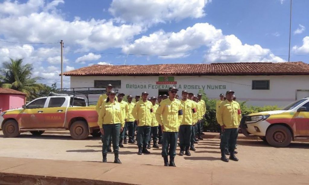 Imagem Ilustrando a Notícia: Brigadistas temporários atuarão no combate a incêndios florestais, em Goiás