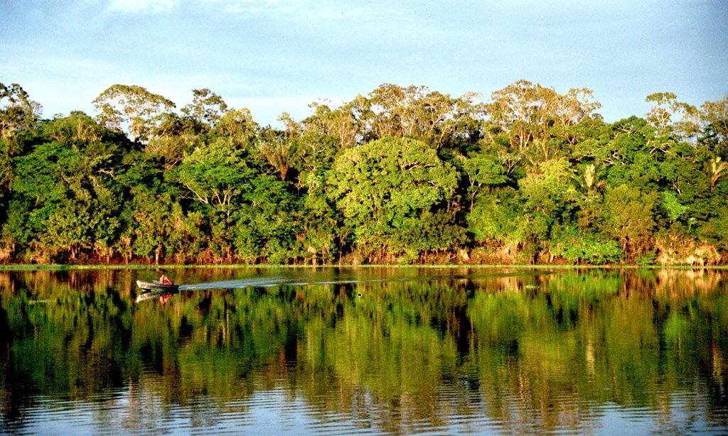 Imagem Ilustrando a Notícia: Plano de bioeconomia para a Amazônia será de longo prazo, diz Mourão
