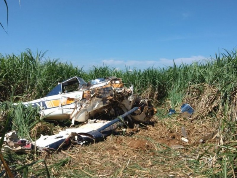 Imagem Ilustrando a Notícia: Avião agrícola cai ao bater em rede de transmissão