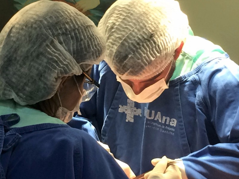 Imagem Ilustrando a Notícia: Doação de órgãos em Anápolis salva 6 pessoas