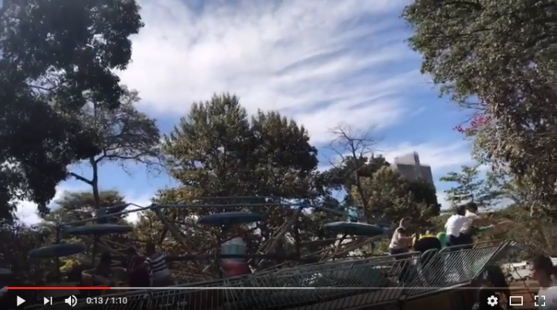 Imagem Ilustrando a Notícia: Vídeo revela momento após queda de brinquedo no Parque Mutirama