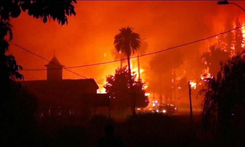 Imagem Ilustrando a Notícia: Incêndios provocam maior desastre florestal do Chile