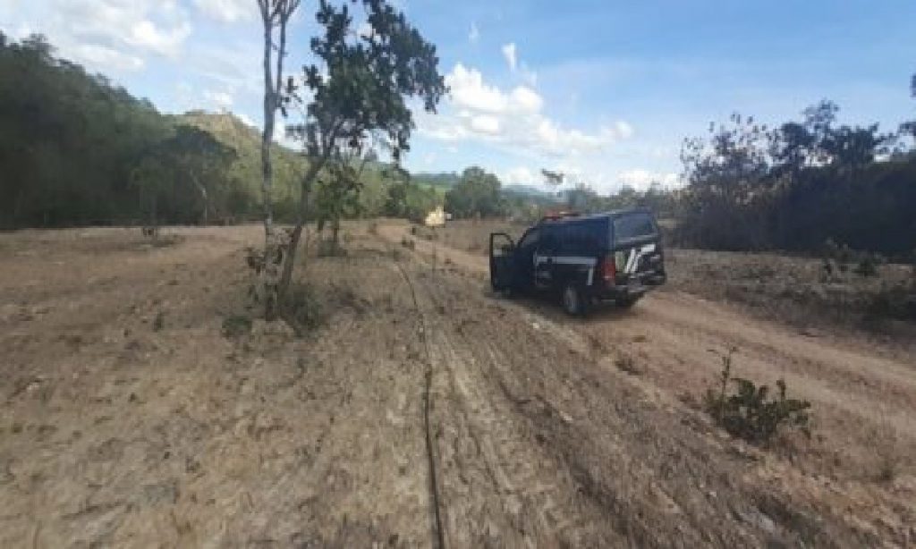 Imagem Ilustrando a Notícia: Dema realiza operação para combater desmatamento ilegal em Niquelândia