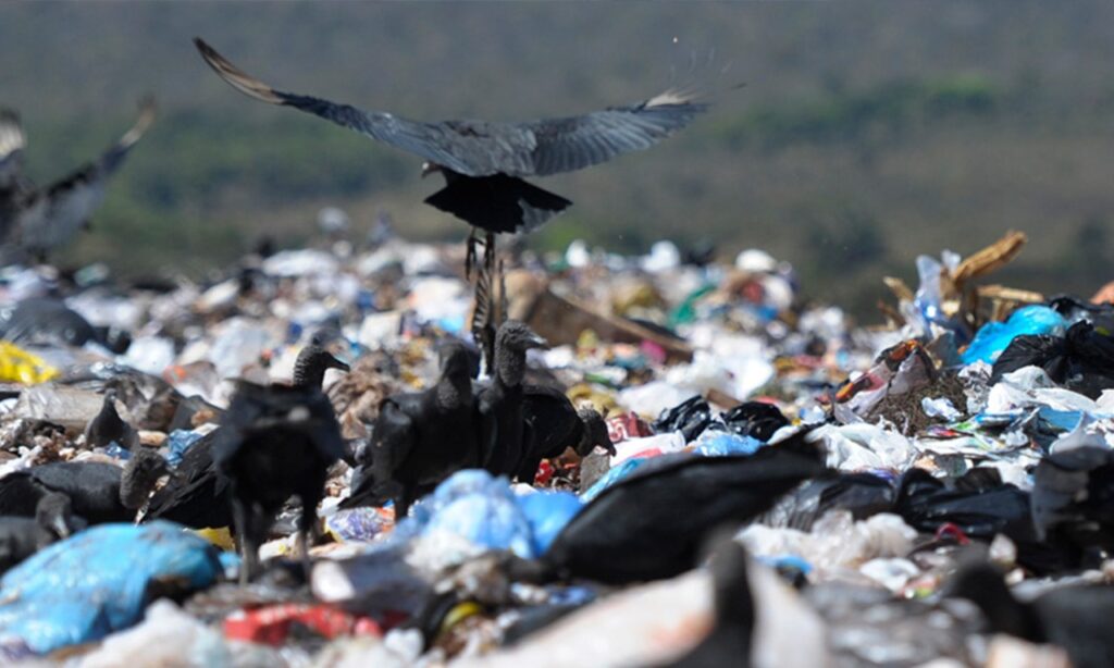 Imagem Ilustrando a Notícia: Governo federal afirma que desativou 600 lixões em menos de um ano
