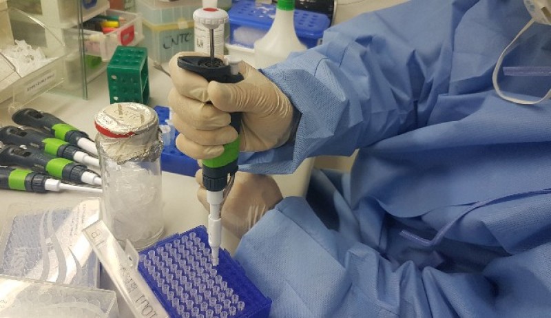 Imagem Ilustrando a Notícia: Fapesp desenvolve método capaz de detectar anticorpos específicos do vírus Zika