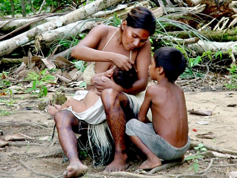 Imagem Ilustrando a Notícia: Brasil retrocedeu com os grupos indígenas, diz ONU