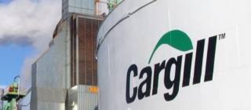 Imagem Ilustrando a Notícia: Cargill abre vagas para Programas de Estágios de níveis superior e técnico