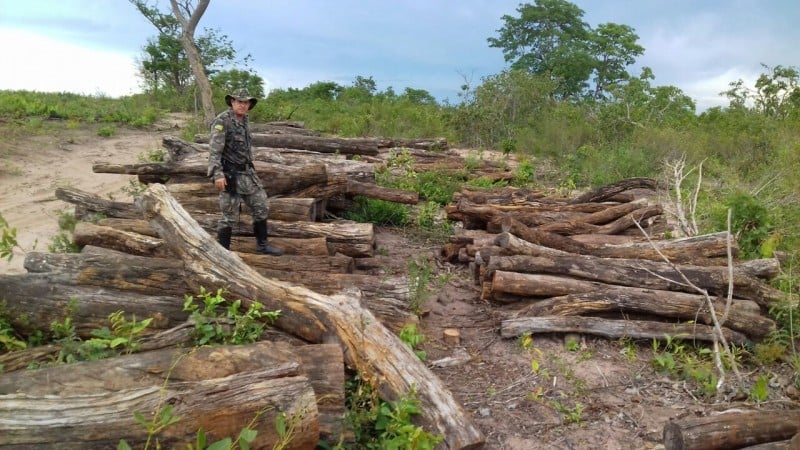 Imagem Ilustrando a Notícia: Polícia prende equipamentos usados para desmatamento em Serranópolis