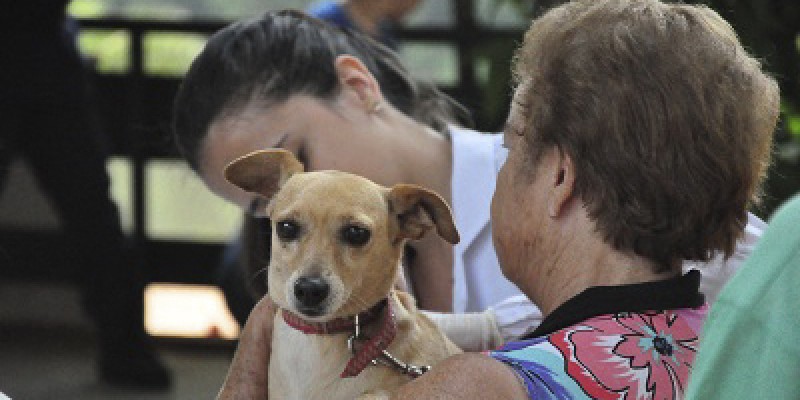 Imagem Ilustrando a Notícia: Goiânia terá hospital veterinário público para animais abandonado