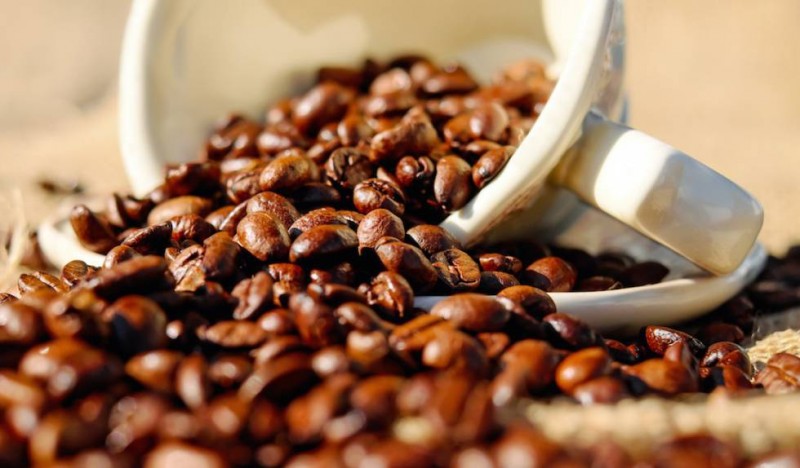 Imagem Ilustrando a Notícia: Produção de café pode superar 58 milhões de sacas