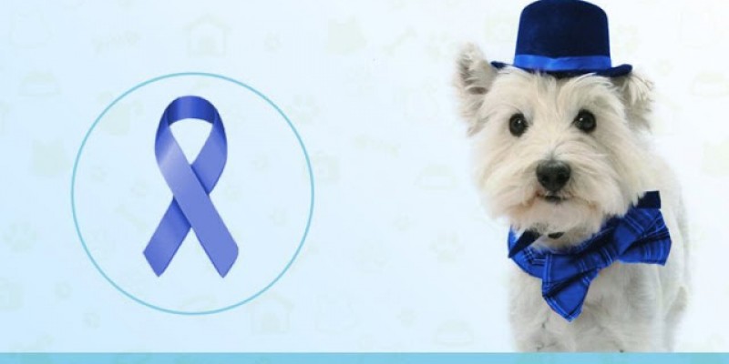 Imagem Ilustrando a Notícia: Câncer de próstata pode atingir 4% dos cães com mais de 7 anos