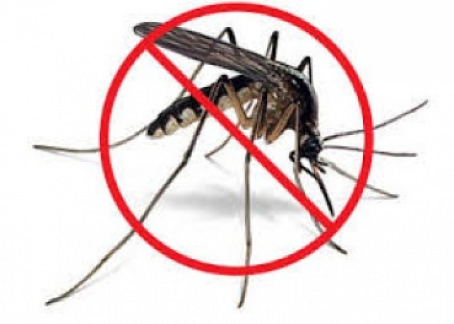 Imagem Ilustrando a Notícia: Secretaria Cidadã entra na guerra contra o Aedes com 500 servidores