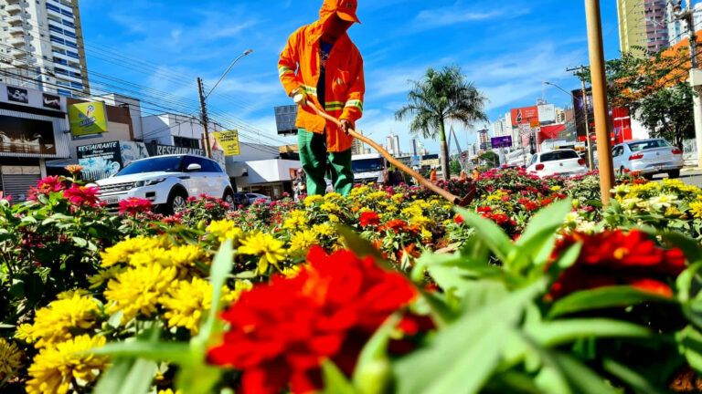 Imagem Ilustrando a Notícia: Praças e canteiros em Goiânia recebem novas mudas de flores
