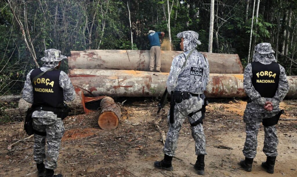 Imagem Ilustrando a Notícia: Amazônia Legal: Ibama terá apoio da Força Nacional em ações