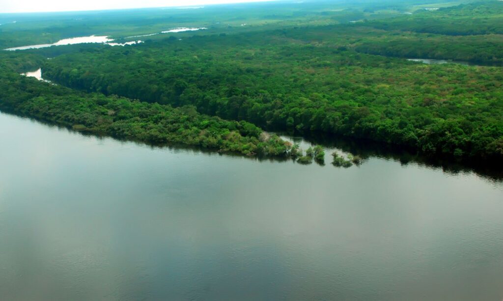 Imagem Ilustrando a Notícia: Caixa participa de programa Adote um Parque e doará R$ 150 milhões para preservação de florestas