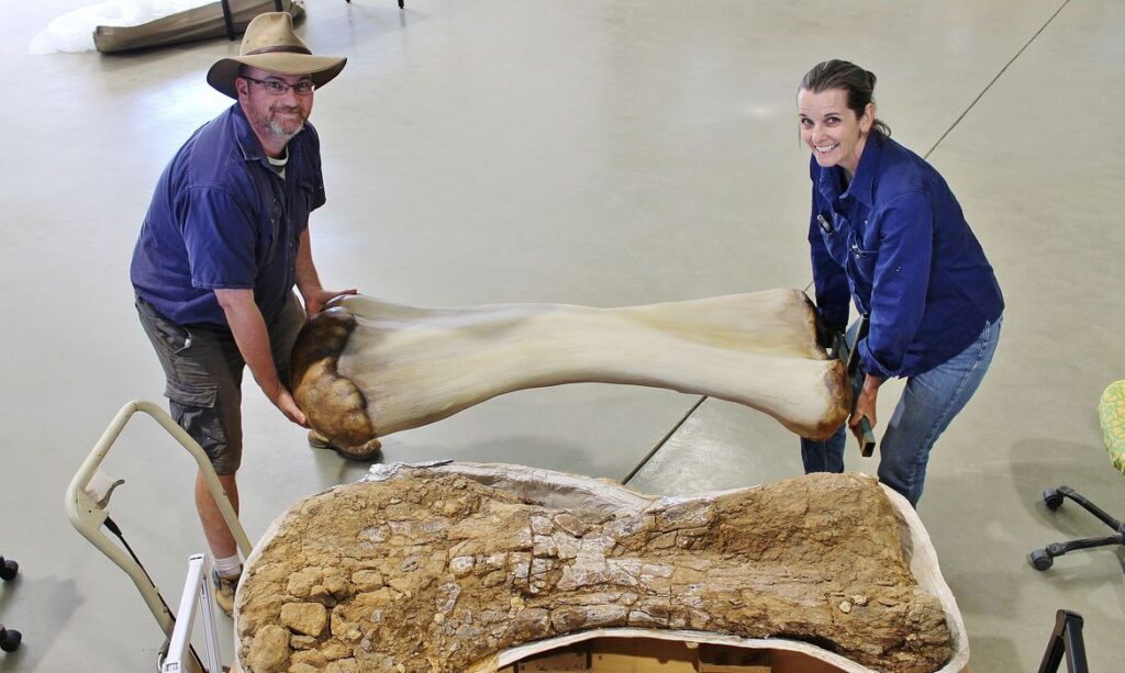Imagem Ilustrando a Notícia: Dinossauro descoberto na Austrália é identificado como nova espécie