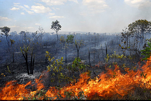 Imagem Ilustrando a Notícia: Goiás registra média de 6,5 mil incêndios/ano desde 2011