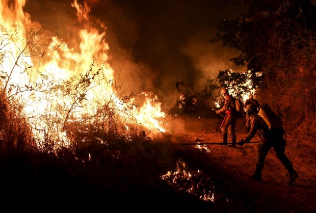 Imagem Ilustrando a Notícia: Governo lança Operação Cerrado Vivo 2021 para prevenir e combater incêndios em vegetações