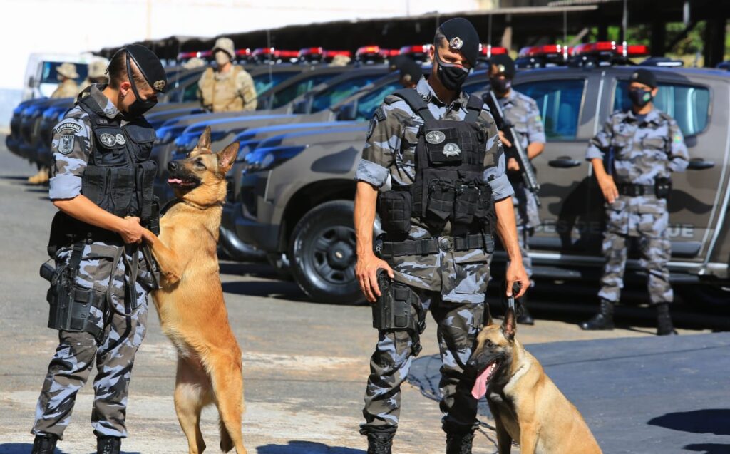 Imagem Ilustrando a Notícia: Companhia Independente de Policiamento com Cães é inaugurada e PMGO recebe 20 viaturas