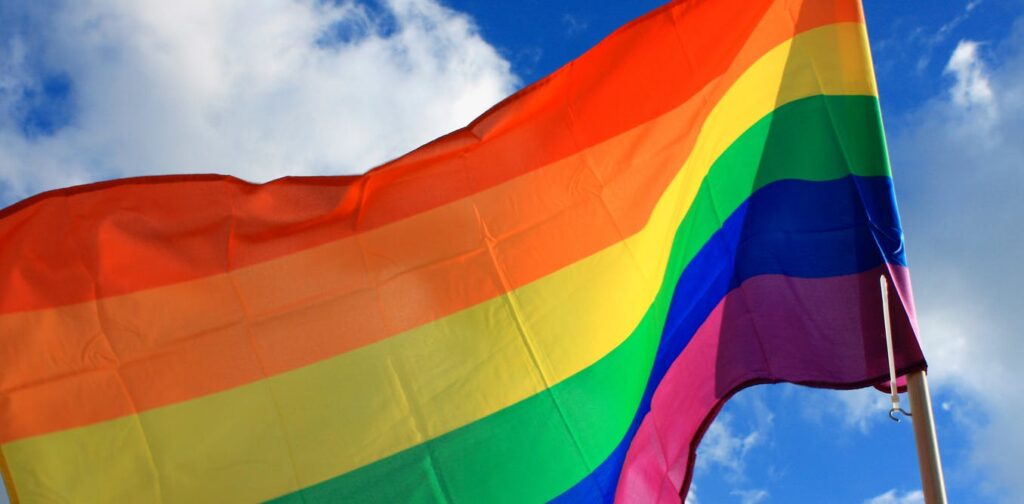 Imagem Ilustrando a Notícia: Além do arco-íris: conheça as outras bandeiras do Orgulho LGBTQIA+