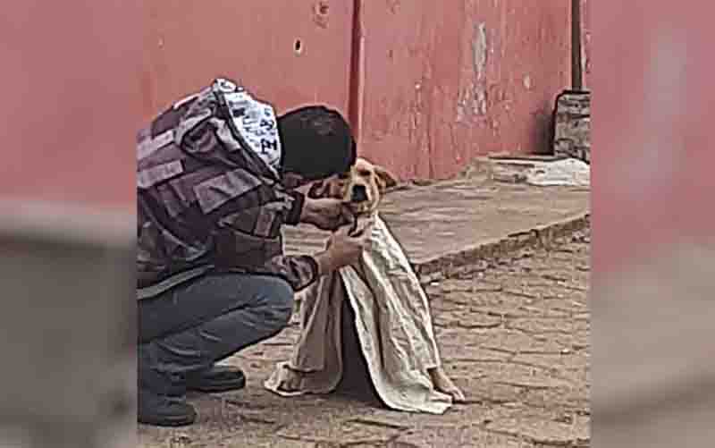 Imagem Ilustrando a Notícia: Homem é flagrado agasalhando cachorro para proteger do frio em Alexânia-GO: ‘Ato de carinho’