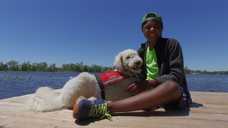 Imagem Ilustrando a Notícia: Seriado ‘Cães de Terapia’ revela como cachorro ajuda menino com epilepsia
