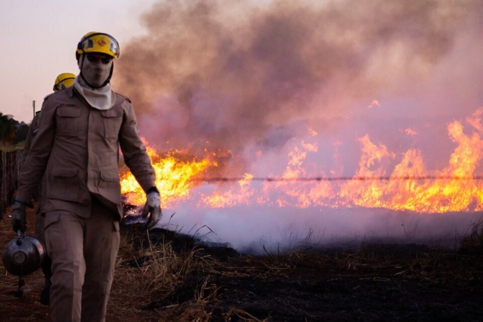 Imagem Ilustrando a Notícia: Goiás tem mais de 6,5 mil ocorrências de incêndio este ano