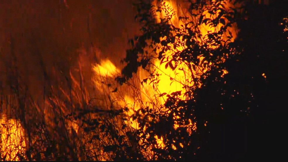 Imagem Ilustrando a Notícia: Agosto tem mais de mil ocorrências de incêndio em Goiás