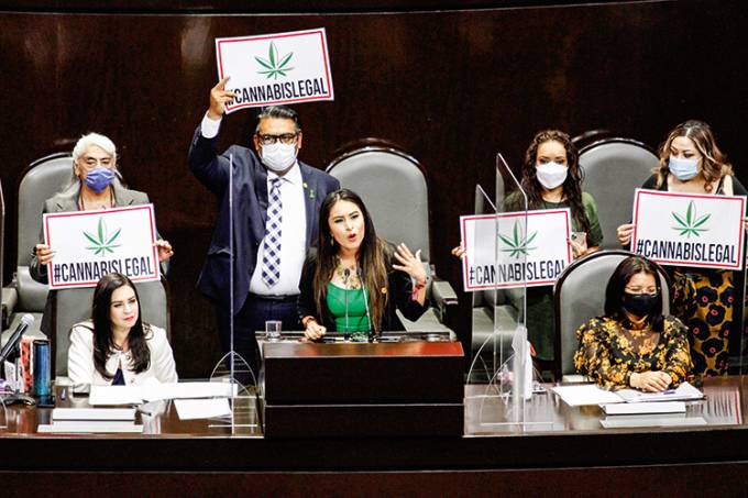 Imagem Ilustrando a Notícia: A “legalização silenciosa” da maconha medicinal no Brasil