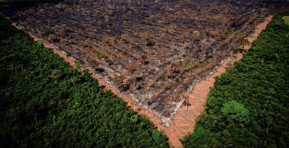 Imagem Ilustrando a Notícia: Desmatamento na Amazônia atinge segundo pior patamar em cinco anos