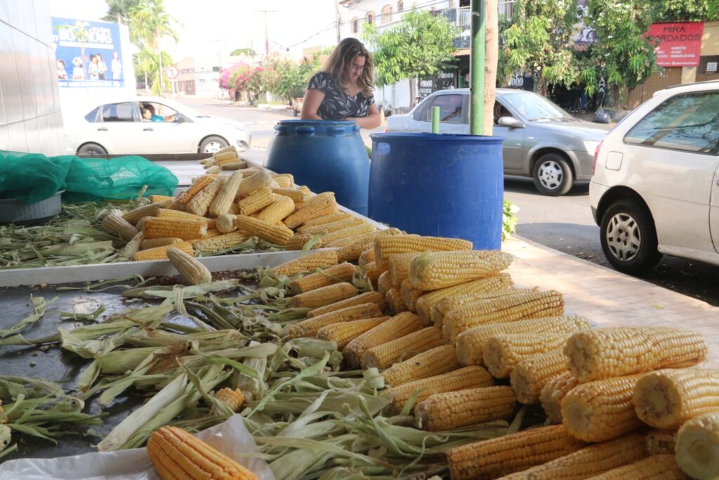 Imagem Ilustrando a Notícia: Baixa produção do milho ameaça oferta de pamonhas