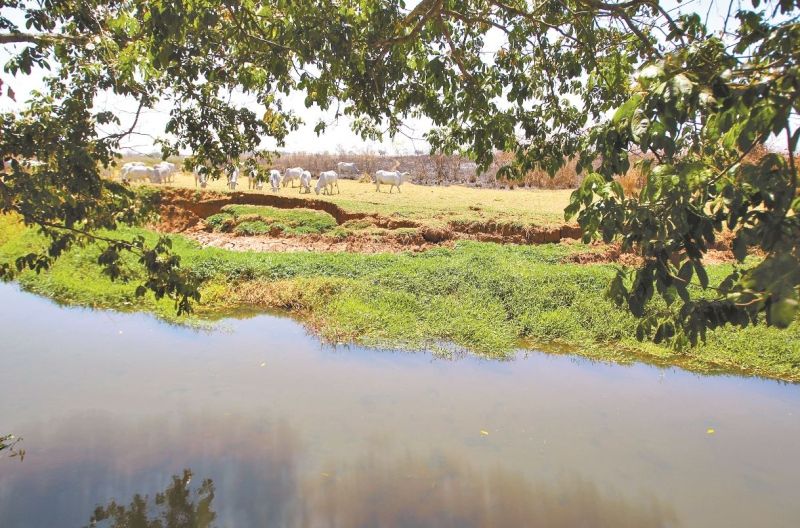 Imagem Ilustrando a Notícia: Como a Bacia do Rio Meia Ponte perdeu 78% de sua vegetação natural