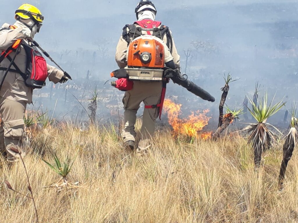 Imagem Ilustrando a Notícia: Ventos e redemoinhos dificultam combate a incêndio na Chapada
