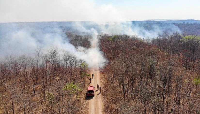 Imagem Ilustrando a Notícia: Incêndio no Parque Estadual Terra Ronca já consumiu 9 mil hectares