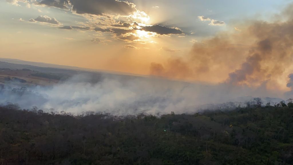 Imagem Ilustrando a Notícia: Corpo de Bombeiros monitora incêndio no Parque Altamiro de Moura Pacheco