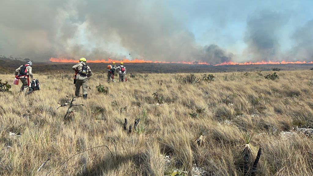 Imagem Ilustrando a Notícia: Com apoio aéreo, Corpo de Bombeiros intensifica combate ao incêndio na Chapada do Veadeiros
