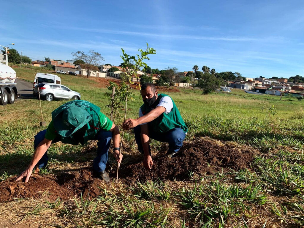 Imagem Ilustrando a Notícia: Dia da Árvore: Prefeitura de Goiânia lança plantio de 96 mil espécies na cidade