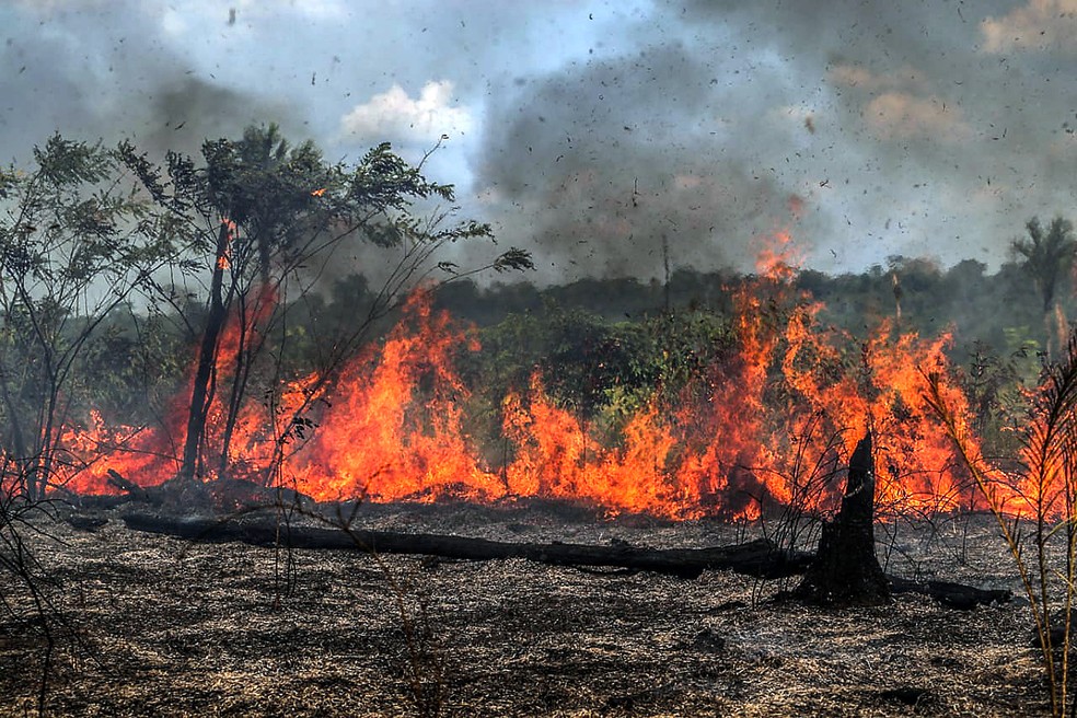 Imagem Ilustrando a Notícia: Pelo terceiro ano seguido, agosto tem alto número de queimadas na Amazônia e Cerrado