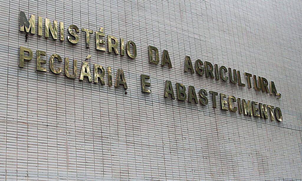 Imagem Ilustrando a Notícia: Ministério confirma casos de vaca louca em Mato Grosso e Minas Gerais
