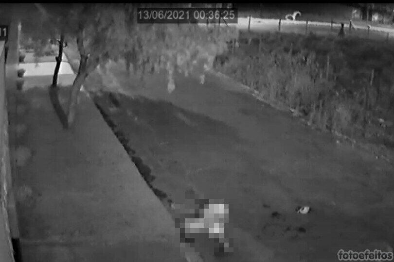 Imagem Ilustrando a Notícia: Polícia prende suspeito de executar traficante para roubar drogas e dinheiro, em Anápolis